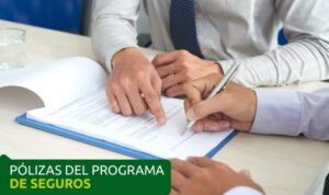Lee más sobre el artículo Convocatoria pólizas del programa de seguros del INDERBU